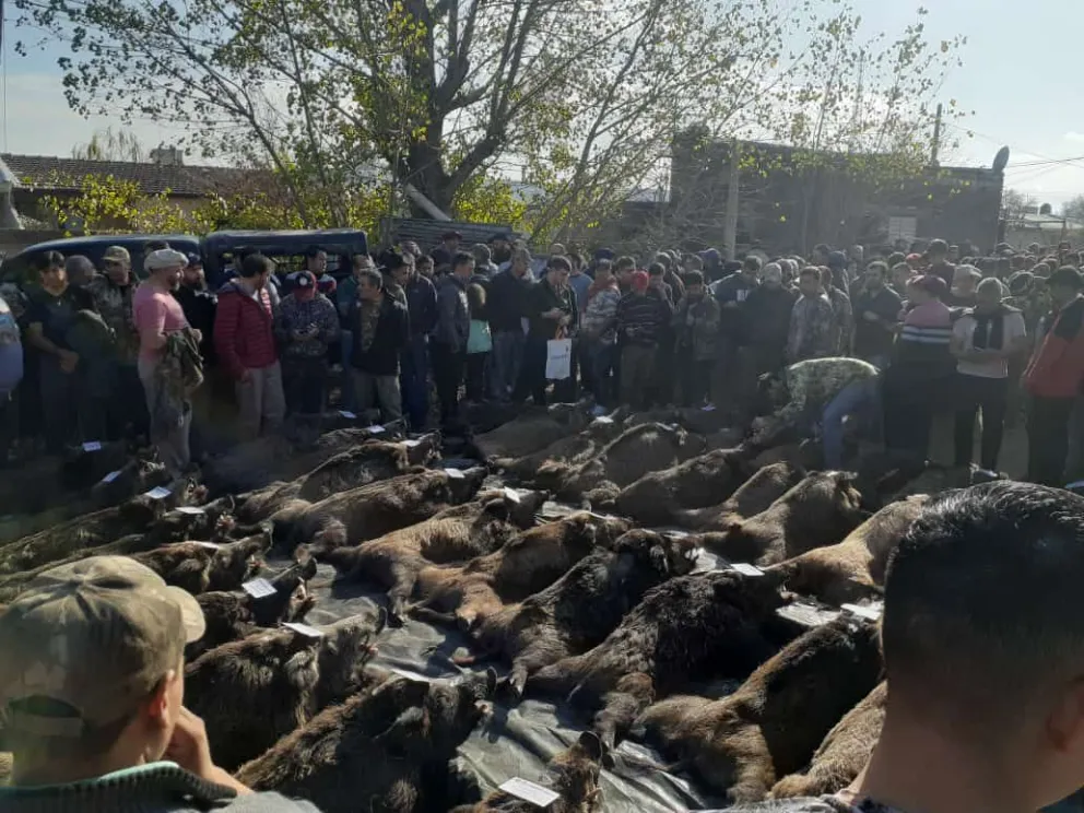  Cazadores rionegrinos fueron reconocidos en un torneo en La Pampa