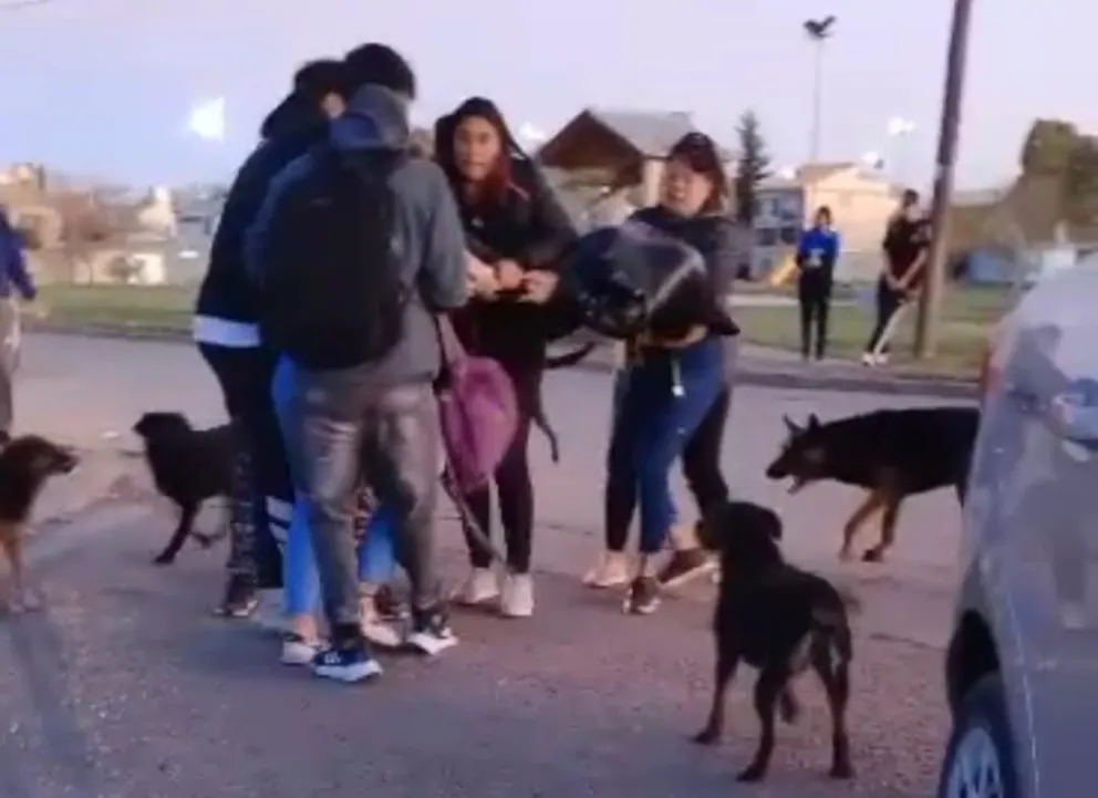 Dos adolescentes se pelearon a la salida de la escuela y tuvieron que separarlas
