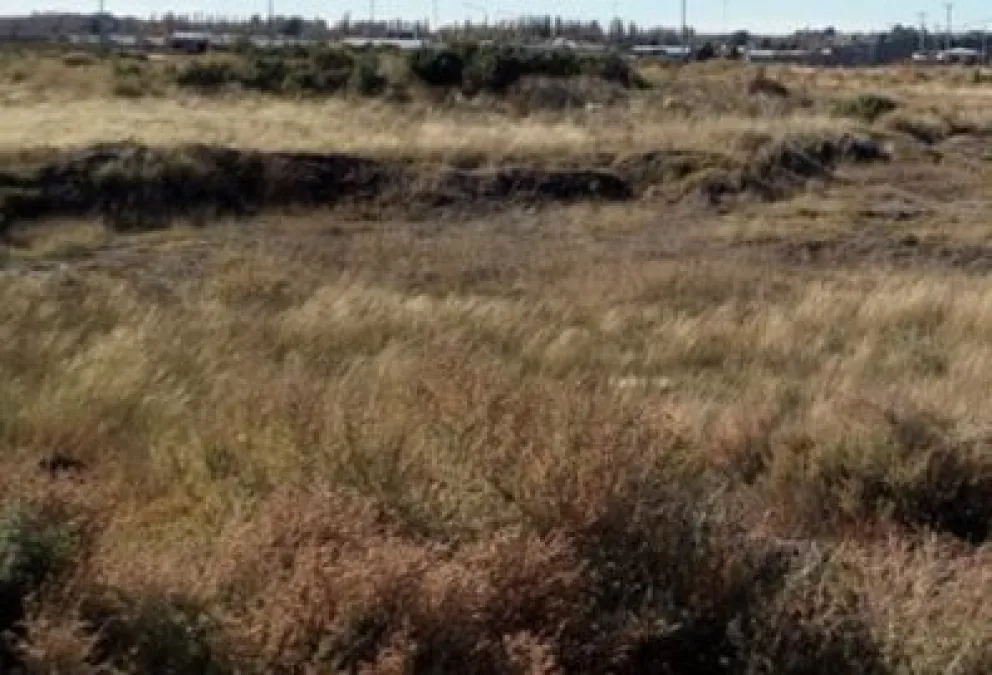 En Viedma, un hombre se separó e intentó registrar a su nombre un terreno que estaba escriturado a nombre de la pareja  