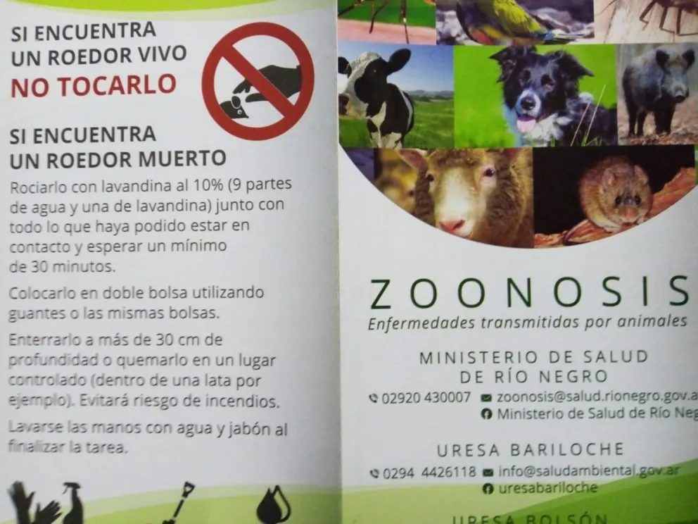 Día Mundial de la Zoonosis: de Pasteur a las prevenciones en Salud