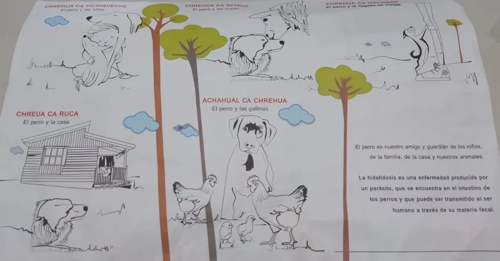 Para prevenir la hidatidosis lanzan una campaña en lengua Mapuche 