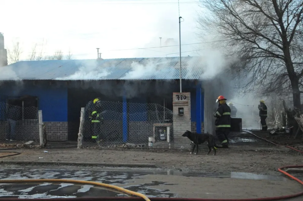 Se incendió una propiedad en Patagones: dos dotaciones de bomberos trabajaron en el lugar 