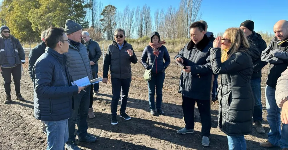 China pasó por Viedma y la exportación de frutos secos está cada vez más cerca