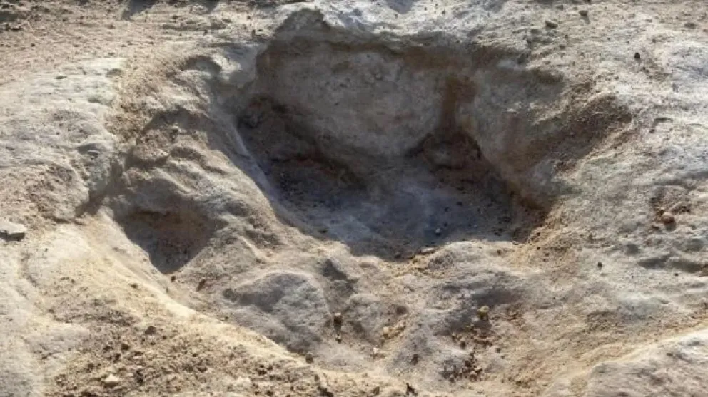 “Se encontraron los primeros dinosaurios emplumados y eso fue un punto de quiebre”