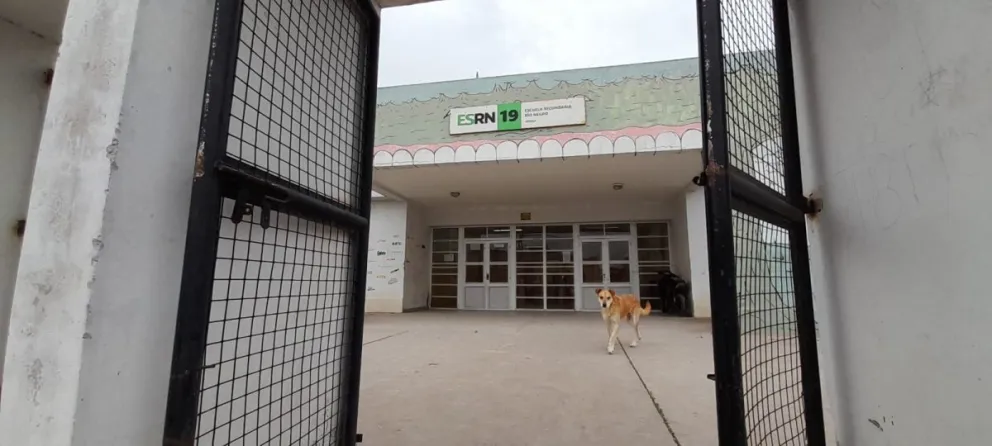 Los problemas de violencia en el entorno escolar a menudo tienen sus raíces en factores externos.