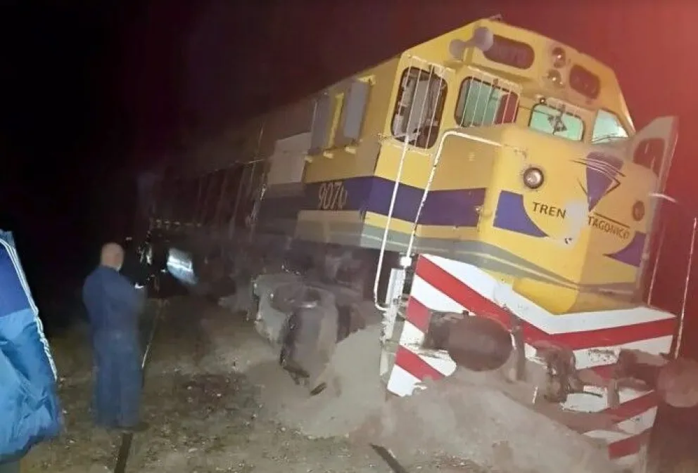 El Tren Patagónico y los reiterados perjuicios que causan los animales sueltos en forma cotidiana