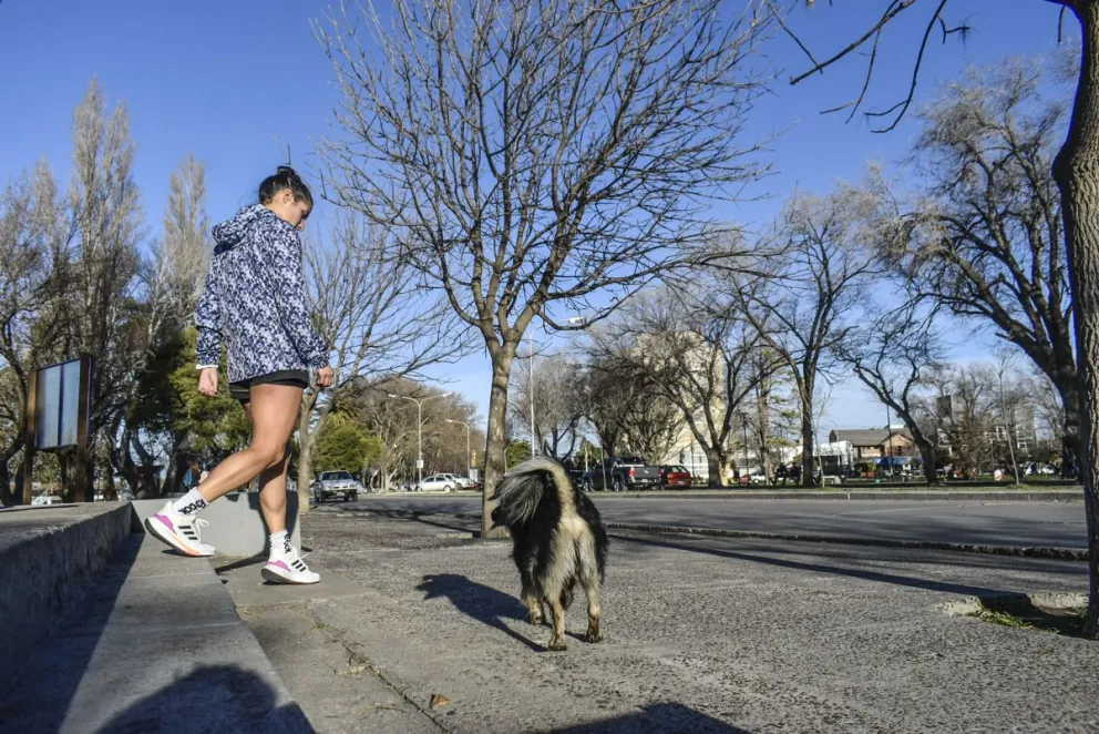 Pronóstico del tiempo en Viedma: así estará el clima este domingo 4