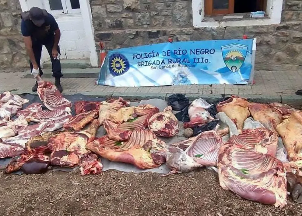 Clandestinidad y carne de dudosa procedencia: son 11.000 los kilos decomisados en lo que va del año