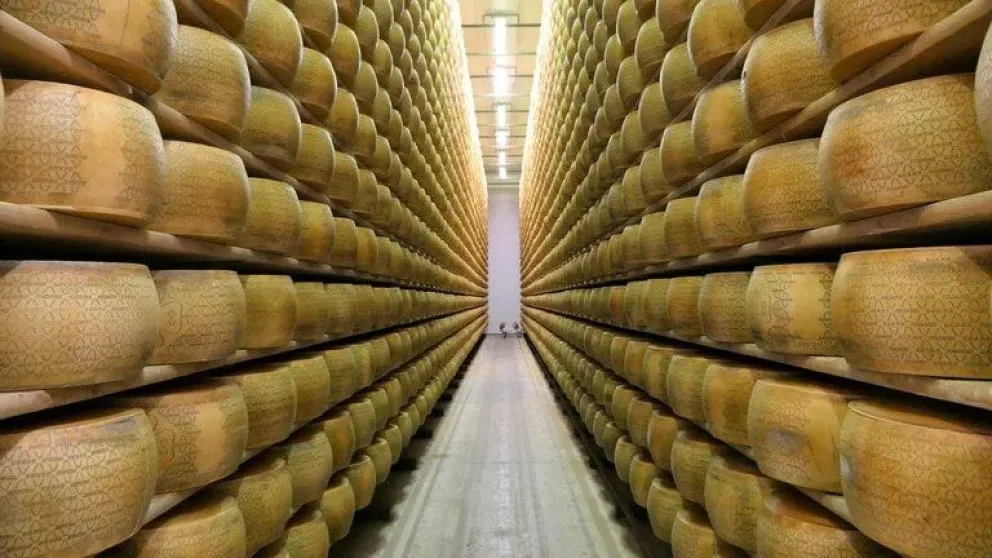Insólito: un hombre murió aplastado por 25 mil hormas de queso