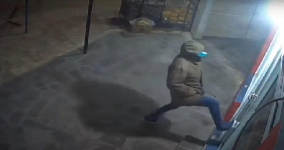 El colmo: un ladrón rompió una puerta con las manos en los bolsillos y se robó un tele