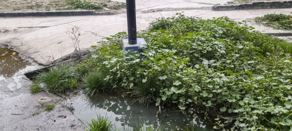 Hay columnas de alumbrado que están bajo agua y desechos cloacales en el barrio Guido