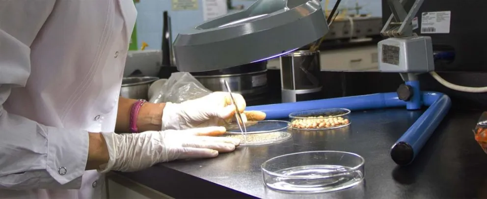 El Gobierno implementa beneficios fiscales para impulsar la biotecnología y la nanotecnología