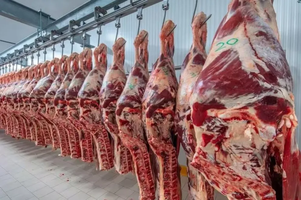 Cierre de las exportaciones de carne: el Gobierno dio marcha atrás a la espera de un acuerdo de precios