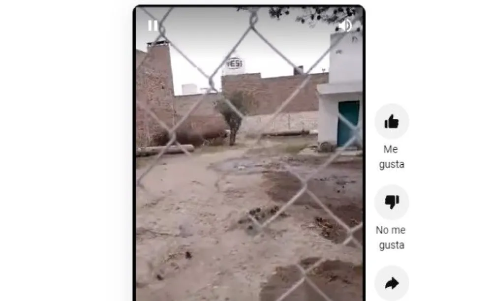 Con un video se quejan por derrames y olores insoportables en Contín y Belgrano