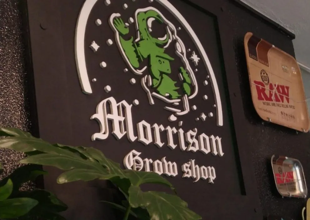 La indignación del dueño de Grow Shop tras el robo en plena madrugada: “Me da bronca”