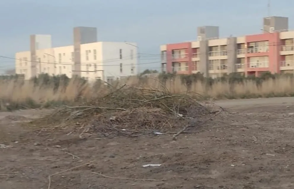 Vecinos colaboran con limpieza para luchar contra el delito: "Queremos ser parte de la solución"
