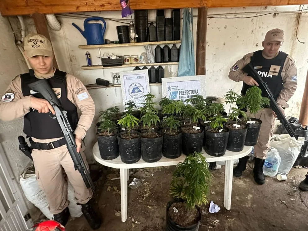 Golpe al narcotráfico: una detención y decomiso de marihuana por 55 millones de pesos