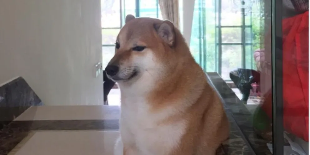 Muere el famoso perrito 'Cheems': un adiós a la alegría viral