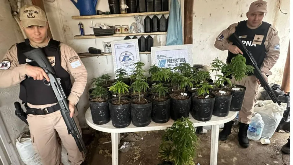 Allanaron la casa de una dirigente de ATE y secuestraron marihuana valuada en 55 millones de pesos