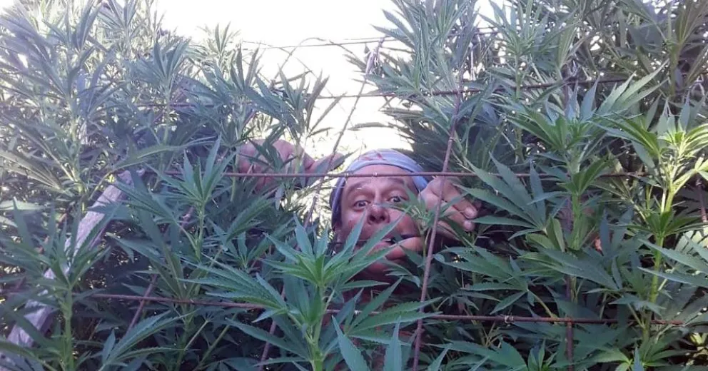 La familia del cultivador detenido en San Antonio teme por su salud