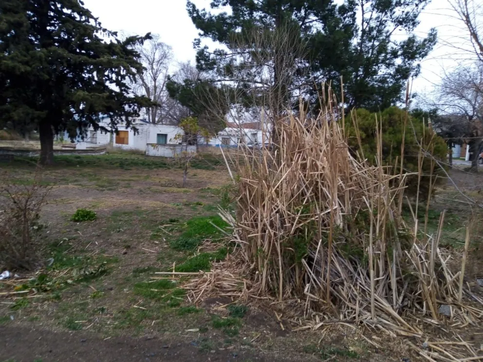 ¿Qué fin le podría dar el municipio al dinero de la venta de terrenos?