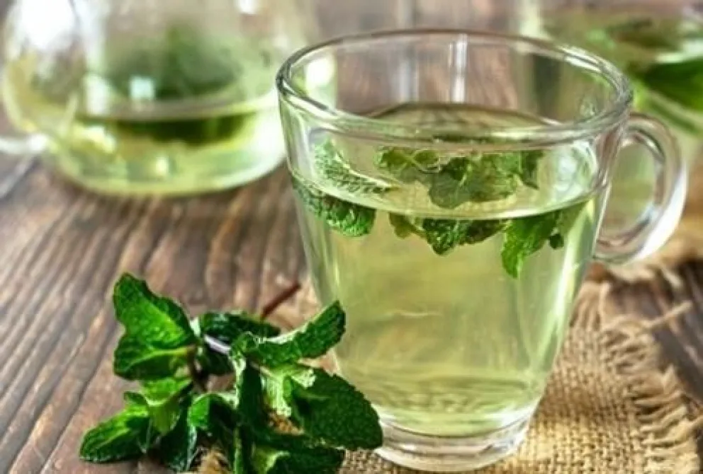 Los inesperados beneficios del té de albahaca sagrada para tu salud
