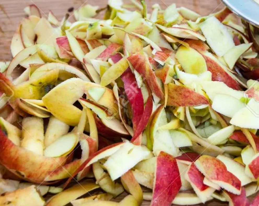 Salvarán desperdicios para fabricar alimentos saludables y para peces