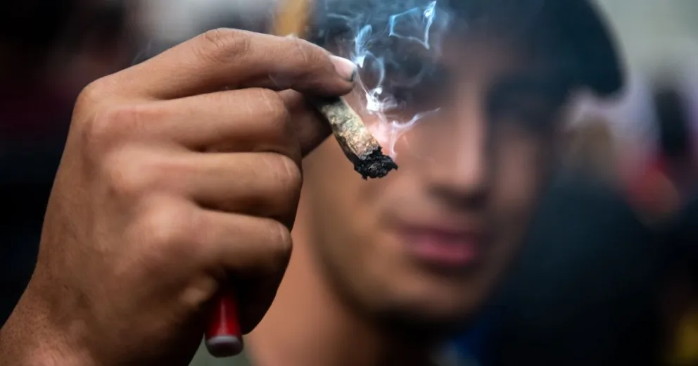 Fuerte crecimiento en el consumo de marihuana, según nueva encuesta nacional