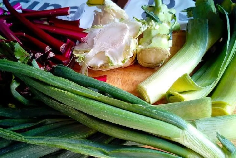 Desperdicio cero de alimentos: una manera de cuidar los recursos económicos y naturales 