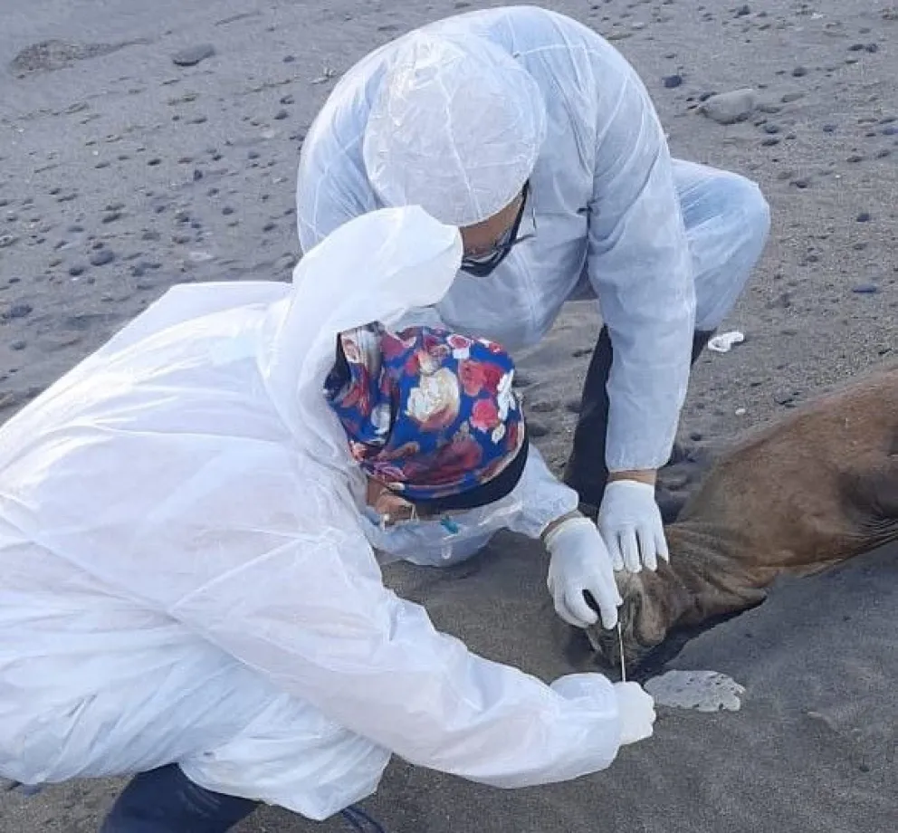 Restringen por decreto el acceso a las playas