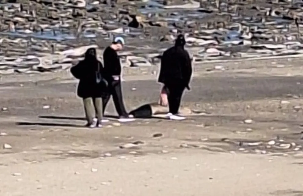 Influenza aviar: pese a las alertas de playas cerradas, hay gente que se sale con la suya