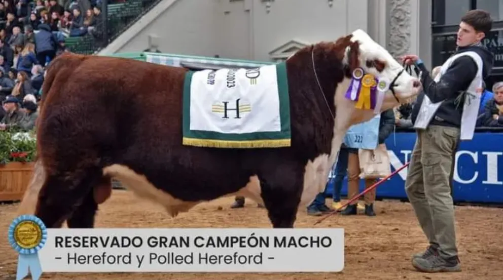 Cuenta regresiva para la Expo Ganadera de la Comarca 
