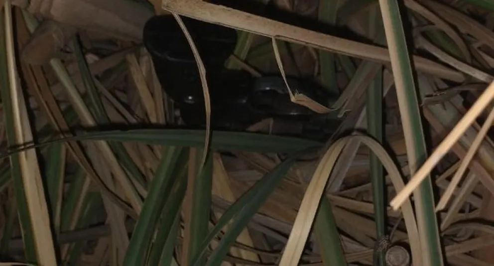 Una banda de menores asaltó a mano armada a otro chico: son los mismos apellidos de siempre