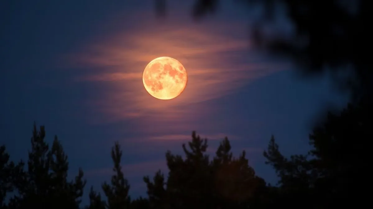 Ritual: aprovecha la energía de la luna llena para atraer el amor |  NoticiasNet - Informacion de Rio Negro, Patagones y la costa.