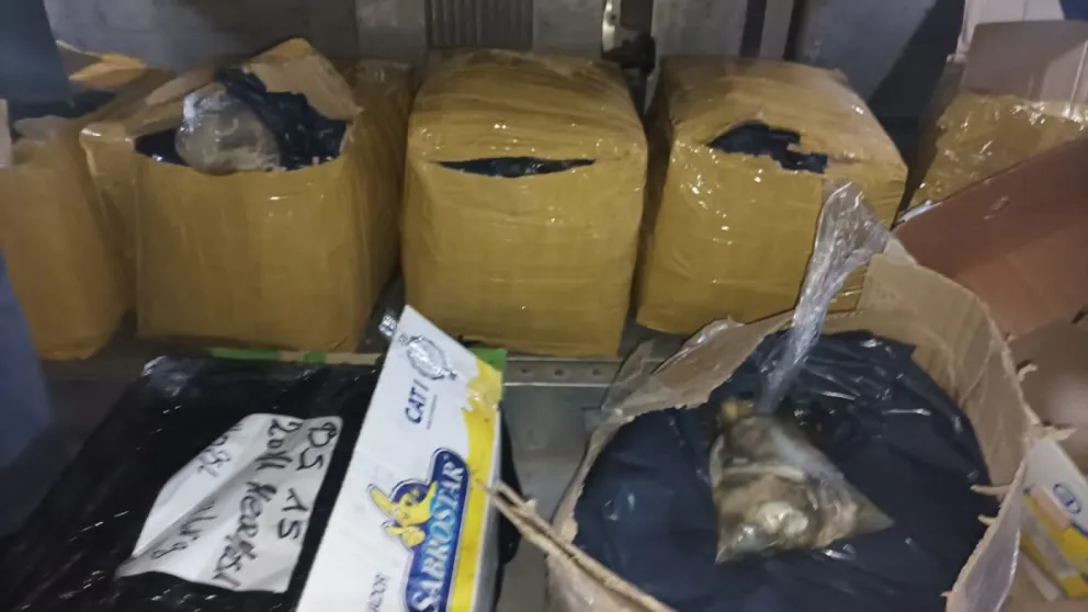 Incautan 600 kilos de ostras sin cadena de frío que enviaban a Buenos Aires desde la Comarca Viedma-Patagones