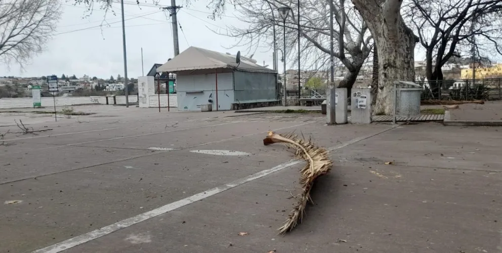 Rigen alertas por los fuertes vientos, hay actividades suspendidas y visibilidad reducida