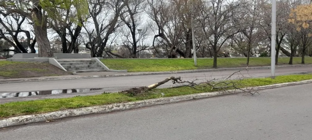 Mejora el clima en Viedma y la región tras días de lluvias y vientos intensos