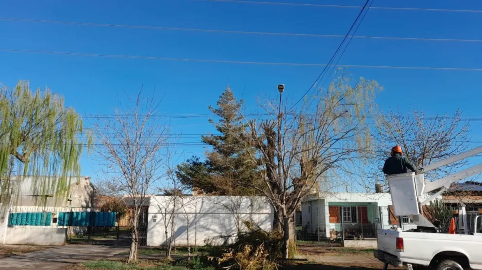 Realizan un despeje de ramas para mejorar la seguridad en el Santa Clara 