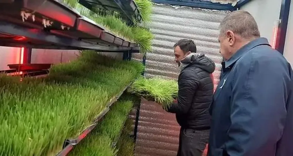 Programa Emprendedores Río Negro ya tiene a sus finalistas: “El emprededurismo es reconfortante”