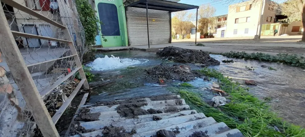 La paradoja del barrio Guido: está inundado pero los vecinos no tienen agua