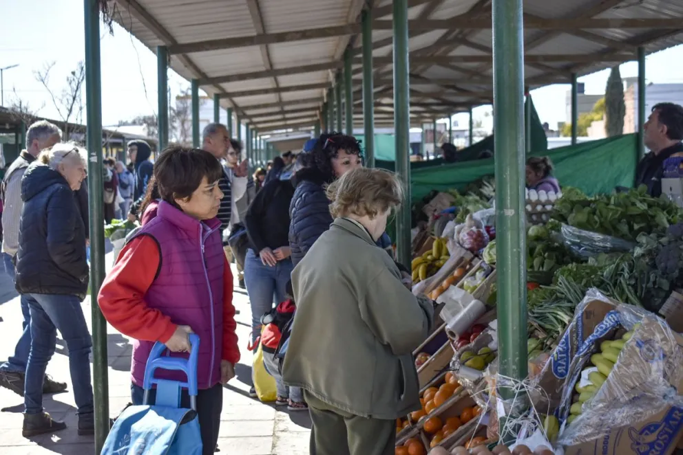 Instalarán internet libre y gratuito en la Feria Municipal 