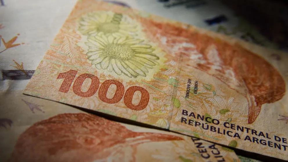 El Gobierno anuncia bono de $20.000 para desocupados