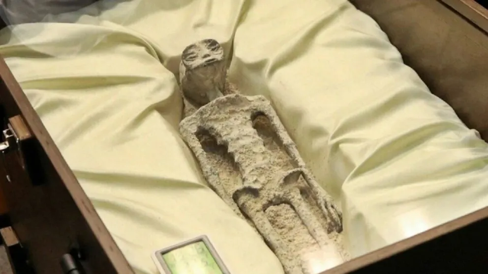 Expertos presentan ante el Congreso de México cuerpos de seres "no humanos": ¿Son extraterrestres?