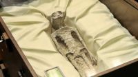 Expertos presentan ante el Congreso de México cuerpos de seres "no humanos": ¿Son extraterrestres?