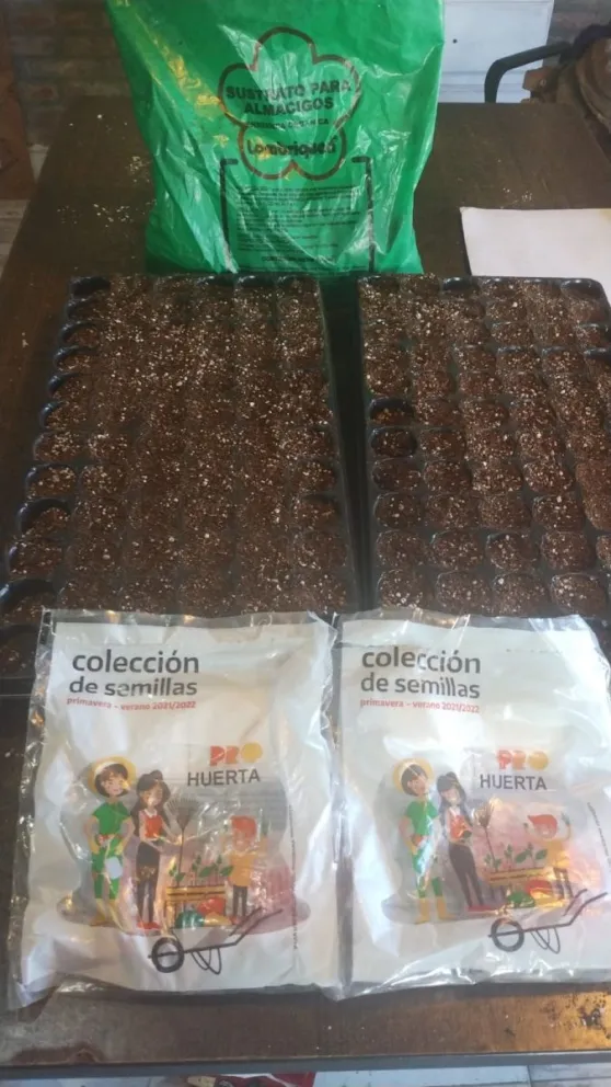 La iniciativa de huertas hogareñas en Viedma continúa creciendo