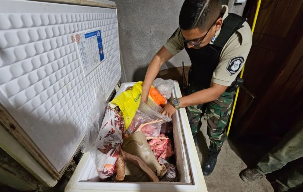 En allanamiento por abigeato Policía Rural secuestró unos 200 kilos de carne
