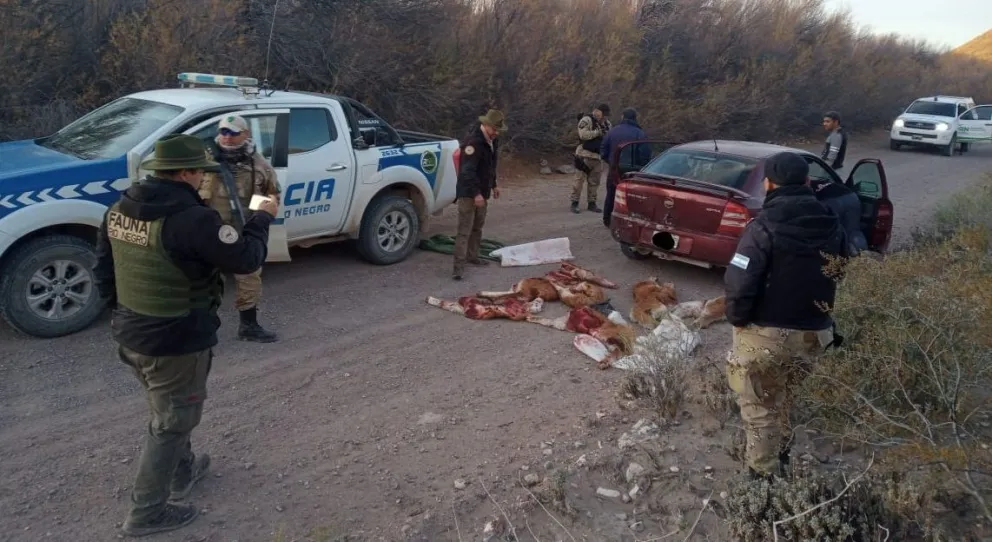 Redoblan esfuerzos para combatir la caza furtiva en Río Negro