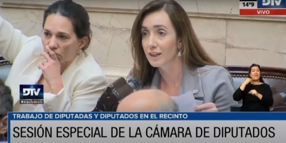 Los libertarios le dieron la espalda a Viedma en la Cámara de Diputados