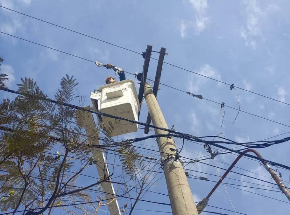Tercer corte de energía en 24 horas: ahora la culpa fue de una paloma