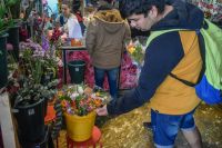 Llegó la primavera y llovieron los pedidos de flores amarillas: ¿por qué la moda con este color?